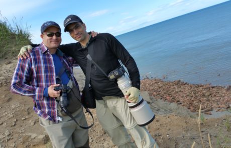 Photographers posing with walruses