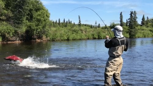 alaska fishing lodges