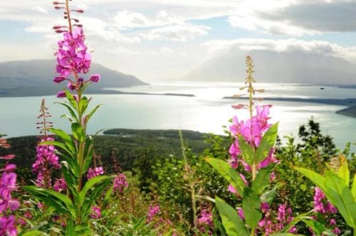 Photo of a Beautiful Lake Near King Salmon, Alaska